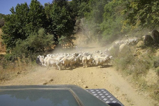 Full-Day Land Rover Safari From Heraklion With Lunch - Directions