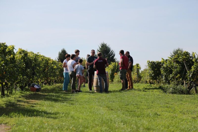 Full Day Loire Valley Wine Tour With Lunch: Vouvray & Chinon - Chinon Organic Vineyard and Wine Tasting