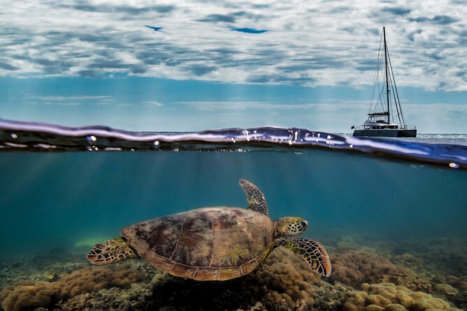 Full Day Low Isles Sailing & Snorkelling Cruise From Port Douglas - Itinerary and Schedule