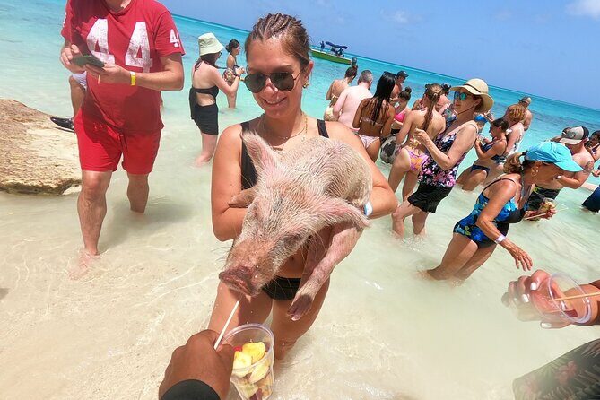 Full-Day Luxury Private Rose Island Pigs and Turtles Excursion - An In-Depth Look at the Full-Day Luxury Private Rose Island Pigs and Turtles Excursion