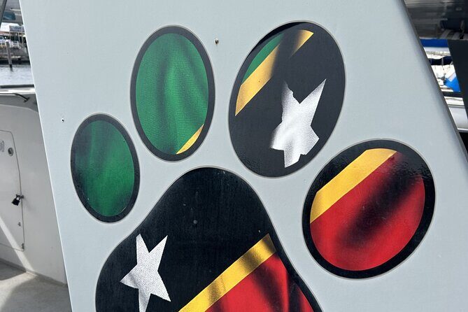 Full Day Luxury Snorkel Charter With Lunch (Minimum 10 Guests) - What You Need to Know Before Booking