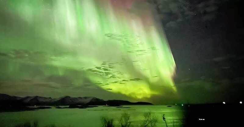 Full Day Magic of the Arctic Lights in Tromso - Good To Know