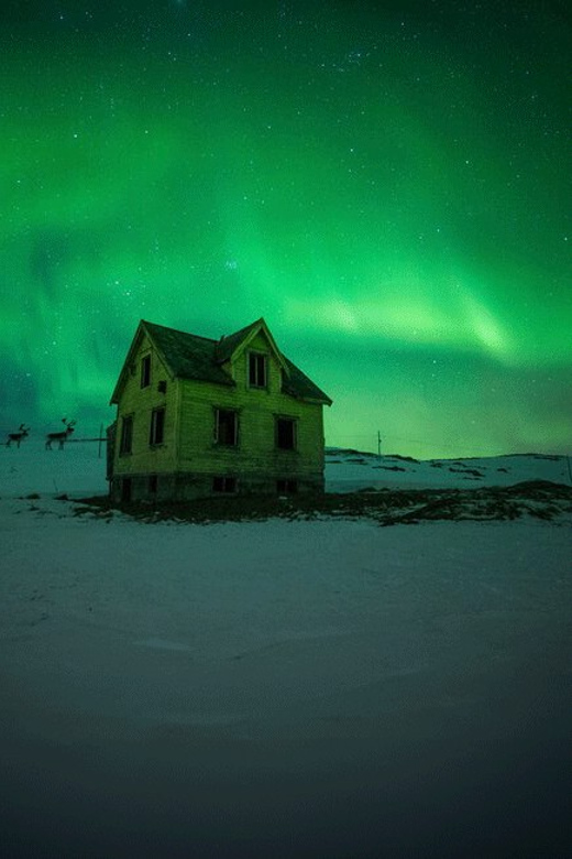 Full Day Magic of the Arctic Lights in Tromso - Detailed Itinerary