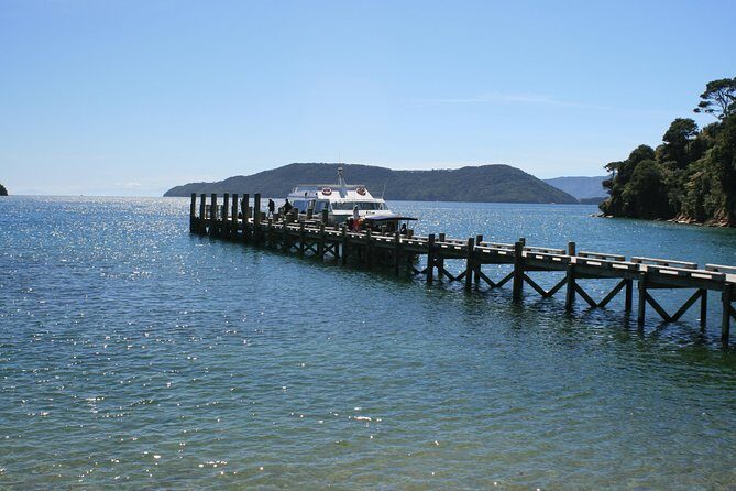 Full-Day Marlborough Catamaran Cruise with Wine Tour and Lunch - Discover the Charm of Marlborough with a Full-Day Catamaran and Wine Tour