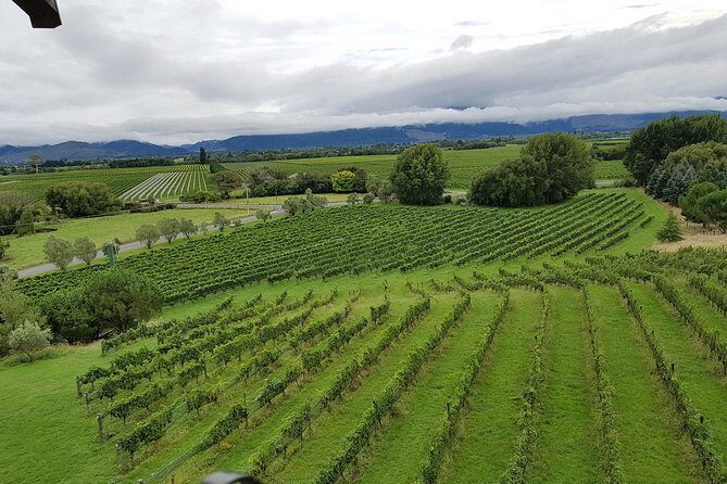 Full-Day Marlborough Catamaran Cruise with Wine Tour and Lunch - The Sum Up: Is It Worth It?