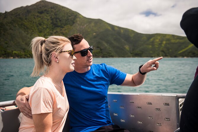 Full Day Marlborough Sounds Mail Boat Cruise - Traveler Reviews