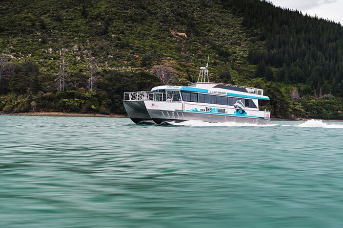 Full Day Marlborough Sounds Mail Boat Cruise - Lunch Options