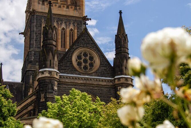 Full-day Melbourne City Sightseeing with Penguin Parade - The Penguin Parade: A Heartwarming Finale