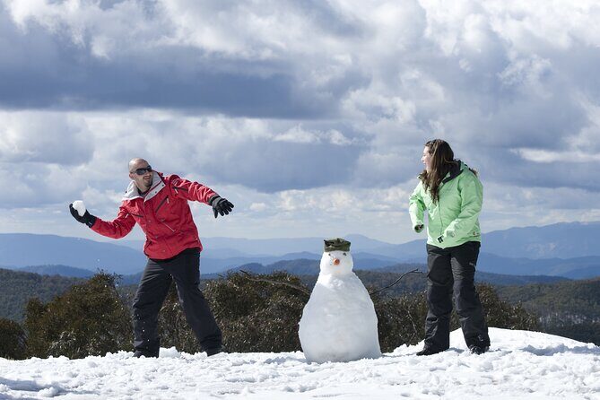 Full-Day Mount Buller Tour - Key Points