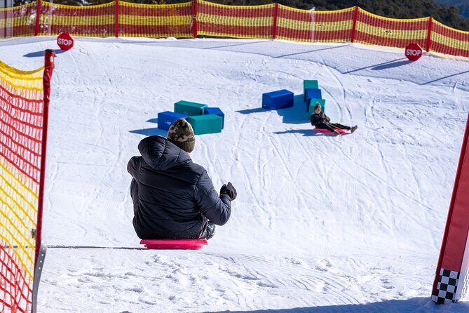 Full-Day Mount Buller Tour - Final Thoughts: Who Is This Tour Best For?