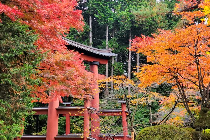 Full Day Mount Fuji Private Tour With English Speaking Guide - Cancellation Policy