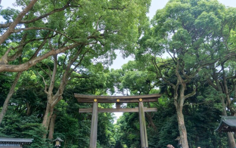 Full-Day Muslim-Friendly Tour of Tokyo - Tips for Travelers