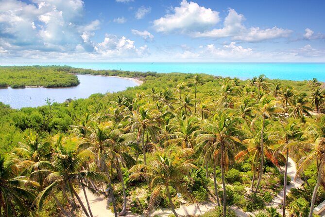 Full Day Nature Expedition to Contoy Island and Isla Mujeres - Who Is This Tour Best For?