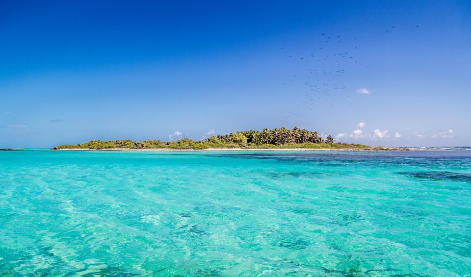 Full Day Nature Expedition to Contoy Island and Isla Mujeres - Visiting Isla Mujeres