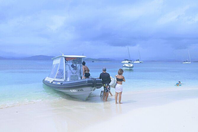 Full Day Nouméa Signal Island Turtle Tour - Key Points