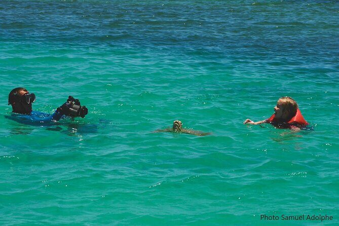 Full Day Nouméa Signal Island Turtle Tour - The Sum Up: Is the Signal Island Turtle Tour Worth It?