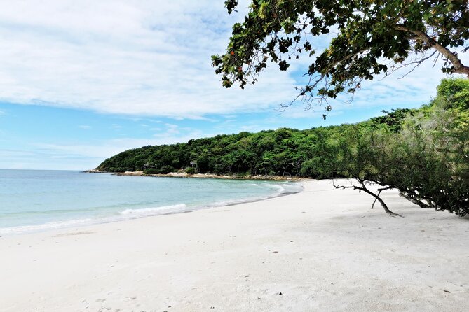 Full-Day on Koh Samet From Pattaya - Whats Included