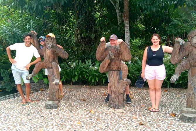 Full Day Orang Utan Sepilok, Proboscis Monkey, Sunbear, RDC - Good To Know