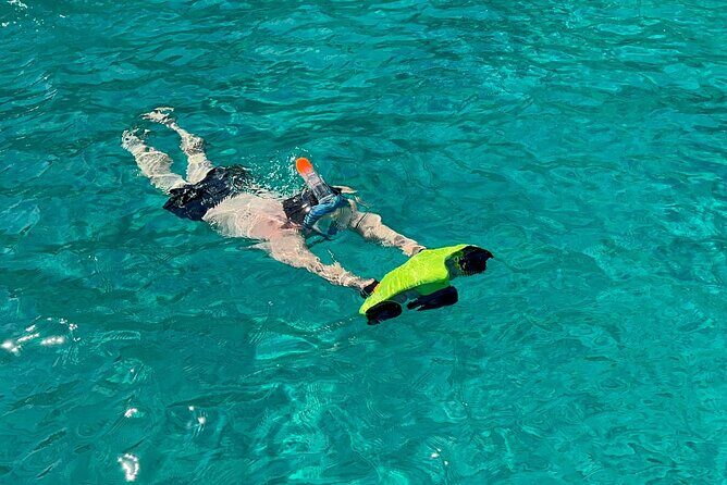 Full Day Palermo Boat Tour with Palermo Experiences - Summing Up: Is It Worth It?