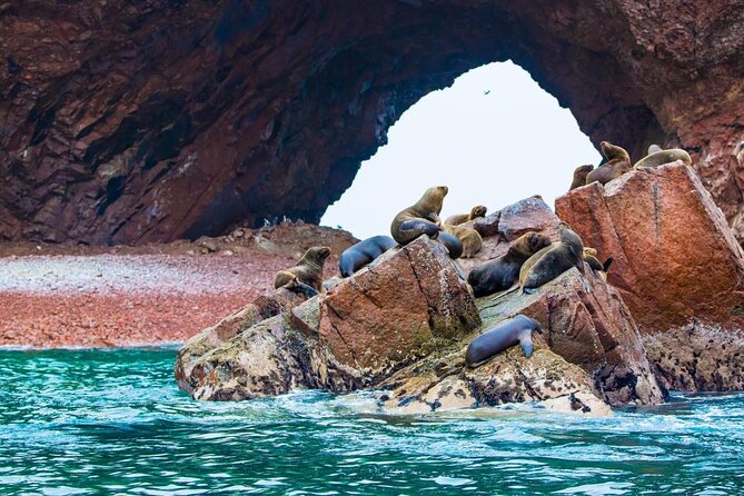 Full Day Paracas - About Your Stay
