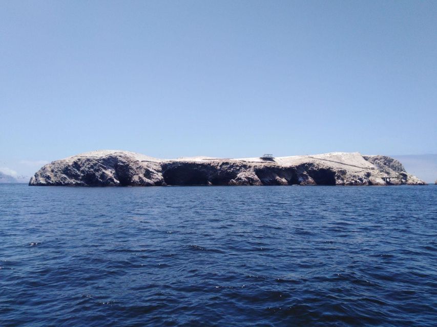 Full Day Paracas - Ica From Lima - Key Points