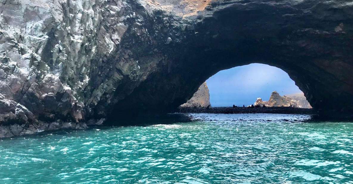 Full Day Paracas - Ica From Lima - Pricing Information