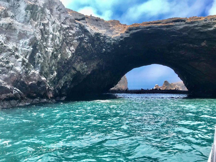 Full Day Paracas - Ica From Lima - Frequently Asked Questions