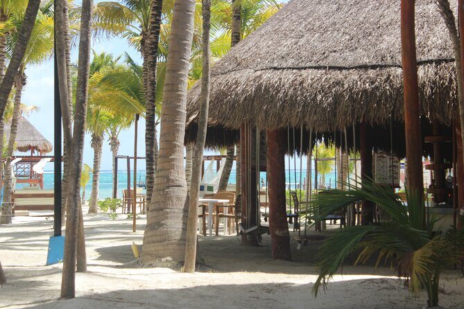 Full day pass in the best Beach Club in the Riviera Maya. Transport included - The Sum Up