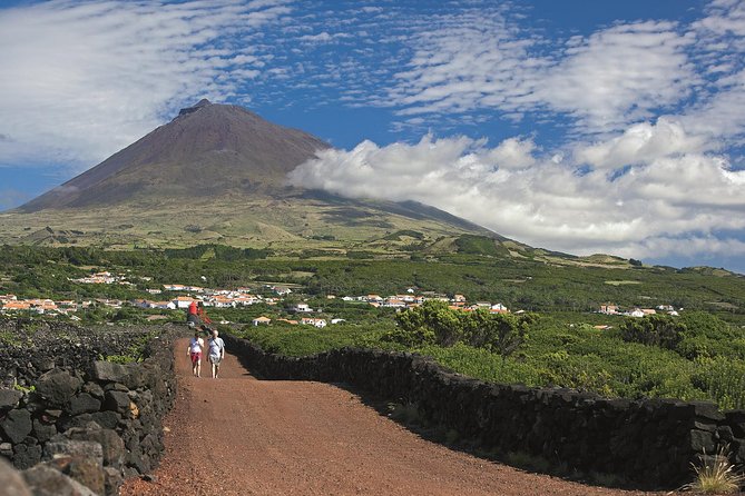 Full-Day Pico Island Tour From Horta - Good To Know