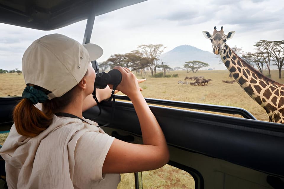 Full-Day Pilanesberg Safari from Sun City - The Experience of Wildlife Viewing