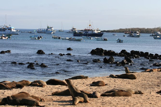 Full-Day Pinzon Island Snorkeling and Fishing - Health and Safety Considerations