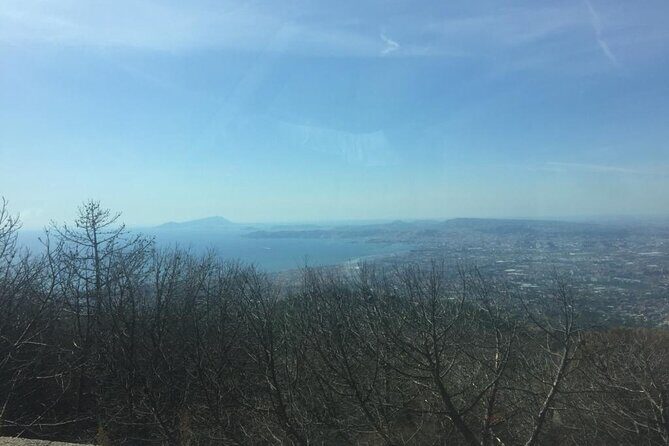 Full-Day Pompeii And Mt.Vesuvius Hike from Naples - Practical Details: What Travelers Need to Know