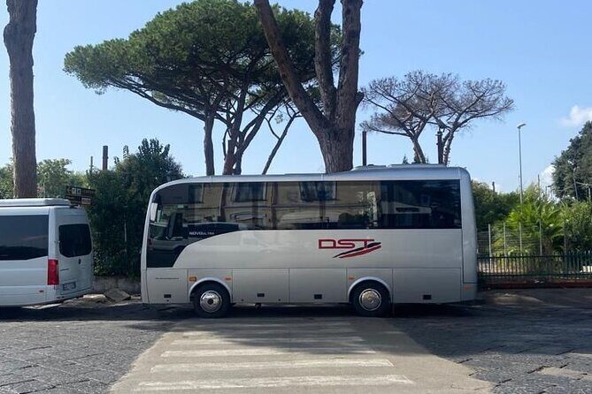 Full-Day Pompeii And Mt.Vesuvius Hike from Naples - The Sum Up