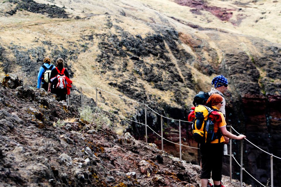 Full-Day Ponta De São Lourenço - Natural Reserve - Important Information for Participants