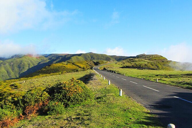 Full-Day Porto Moniz Madeira Island Tour - Who Should Consider This Tour?