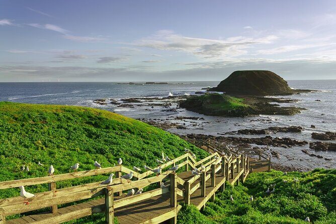 Full-Day Private Australian Wildlife Tour of Phillip Island - Value and Considerations