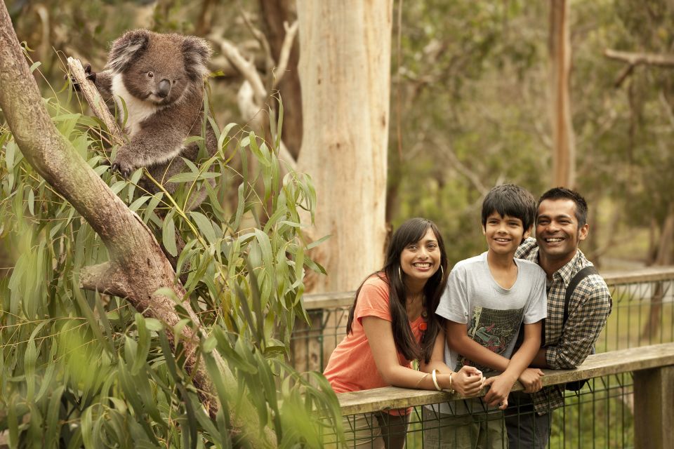 Full-Day Private Australian Wildlife Tour of Phillip Island - Recap