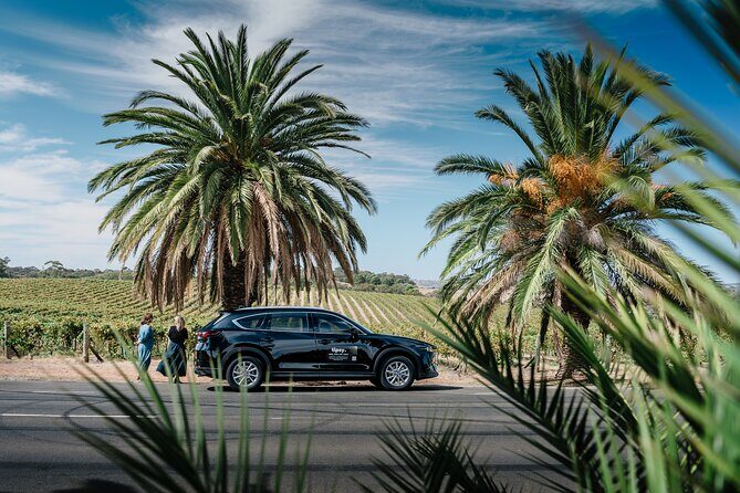 Full Day Private Barossa Valley Wine Tour - Key Points