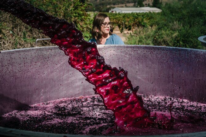Full Day Private Barossa Valley Wine Tour - The Itinerary: What to Expect