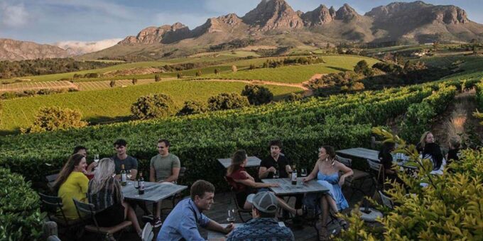 Full-Day Private: Best of the Cape - Wine Tasting in Stellenbosch