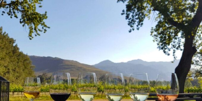 Full-Day Private: Best of the Cape - Frequently Asked Questions