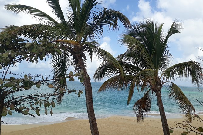 Full-Day Private Boat Charter Caribbean Adventure - Participation Requirements