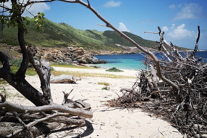 Full-Day Private Boat Charter Caribbean Adventure - Location and Operator