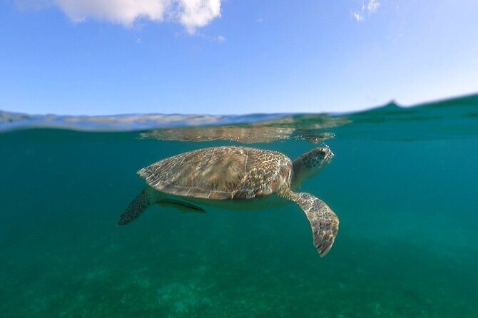 Full-Day Private Boat Charter from St. John or St. Thomas - Frequently Asked Questions