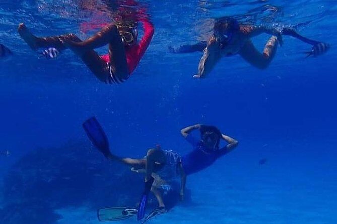 Full-Day Private Boat Tour of Bora Bora Lagoon with Snorkel - The Itinerary in Detail: What You Can Expect