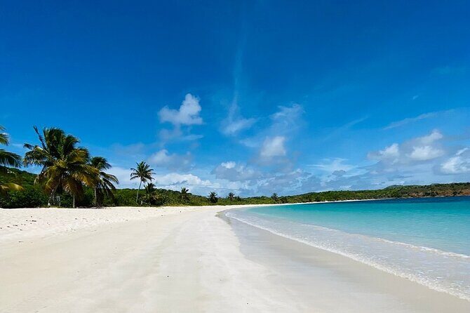 Full Day Private Boat Tour To Culebra - Who Should Consider This Tour?