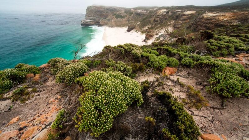 Full Day Private Cape Peninsula and Boulders Beach Tour - Itinerary Highlights
