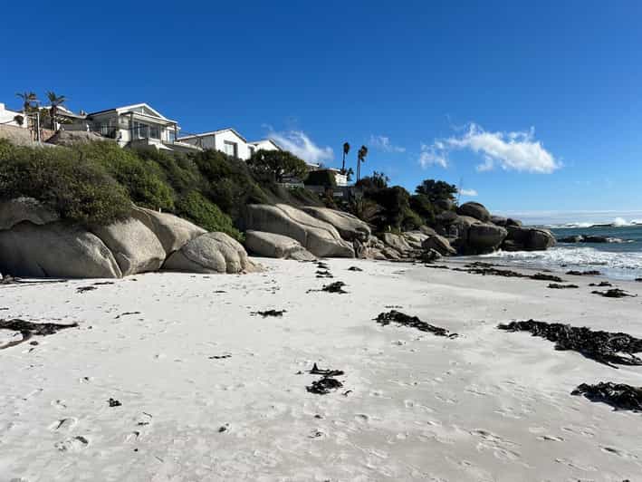 Full-Day Private Cape Town's Most Beautiful Beaches Tour - Good To Know