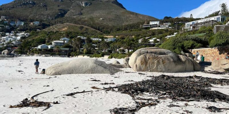 Full-Day Private Cape Town's Most Beautiful Beaches Tour - Camps Bay Beach Highlights