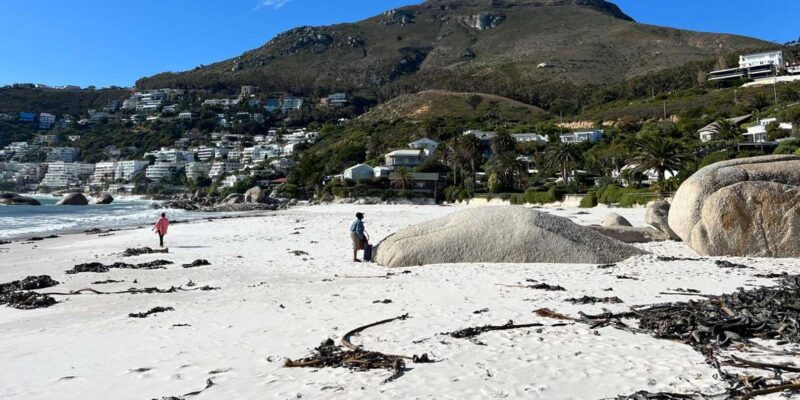 Full-Day Private Cape Town's Most Beautiful Beaches Tour - Inclusions